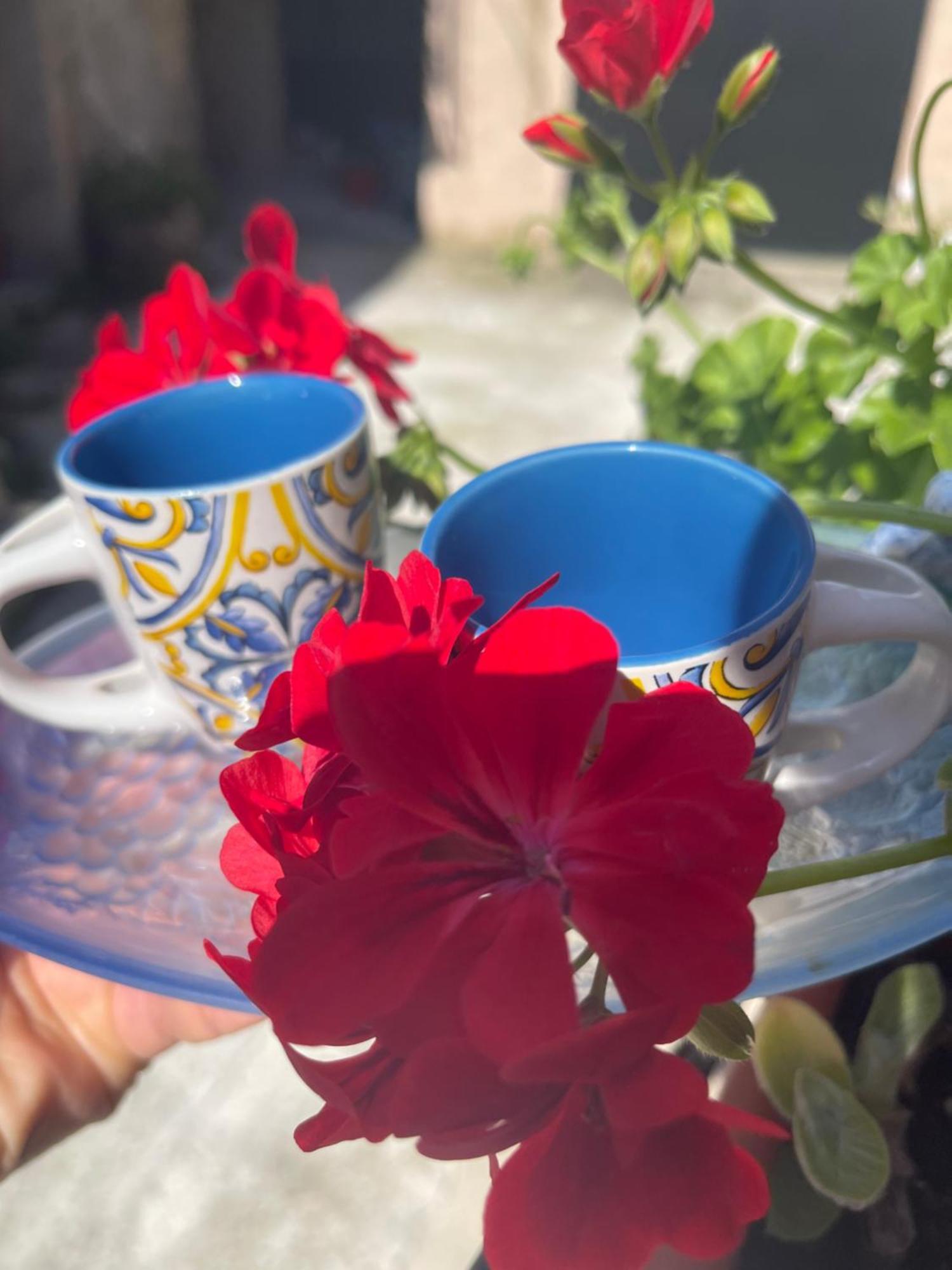 Bed and Breakfast La Rosa Blu Gerace Zewnętrze zdjęcie
